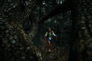 BIB: 
                            <button type="button" onclick="openModal(25688373)" class="btn btn-primary btn-sm float-right btn-popup" data-toggle="modal" data-target=".modal-high-quality">
                        <i class="fas fa-shopping-cart"></i> Add to Cart
                    </button>
                                            <button type="button" onclick="isThisMe(25688373, true)" class="btn btn-success btn-sm float-right btn-popup btn-isme hidden" data-toggle="tooltip" data-placement="bottom" title="นี่คือรูปของคุณใช่ไหม คลิกที่นี่เพื่อเอาเข้าอัลบั้ม">
                        <i class="fas fa-plus"></i> Add to album
                    </button>
                    <button type="button" onclick="isThisMe(25688373, false)" class="btn btn-warning btn-sm float-right btn-popup btn-isnotme hidden">
                        <i class="fas fa-ban"></i> Remove from album
                    </button>